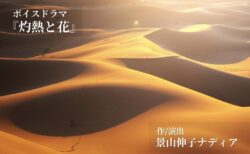 脚本『灼熱と花』の販売スタート
