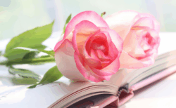 2025年 Nadia Art 活動まとめ