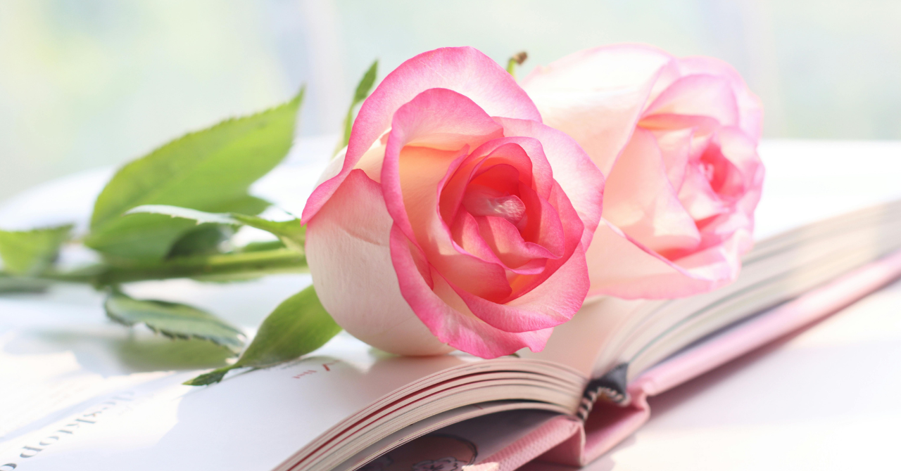 2025年 Nadia Art 活動まとめ