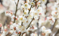 2026年2月振り返り