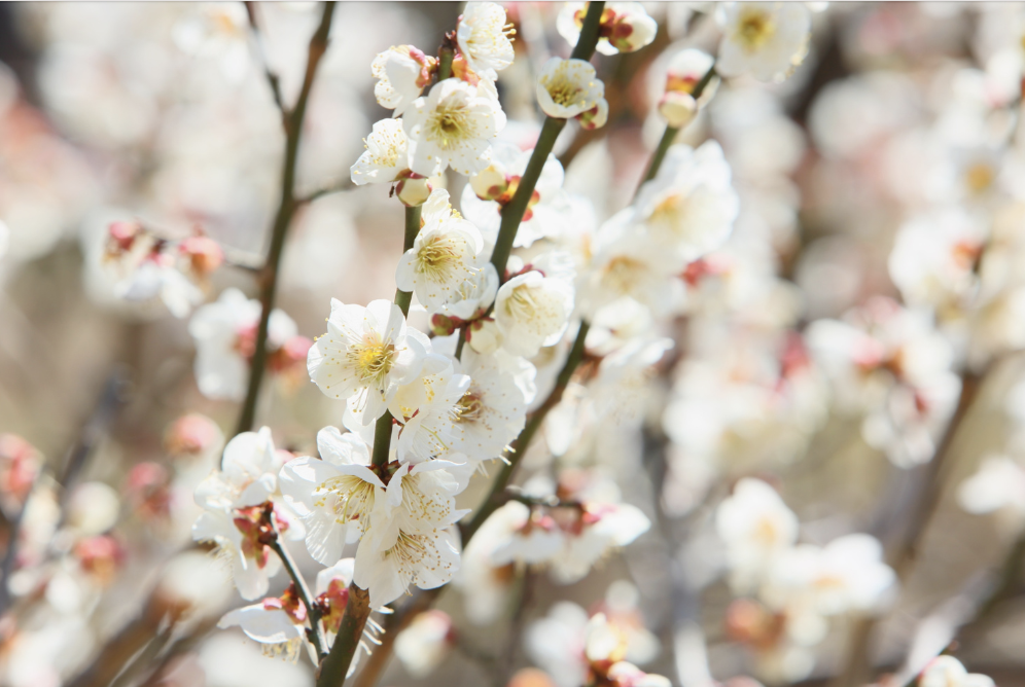 2026年2月振り返り