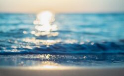 脚本『海の番い』が「第54回創作ラジオドラマ大賞」一次選考を通過